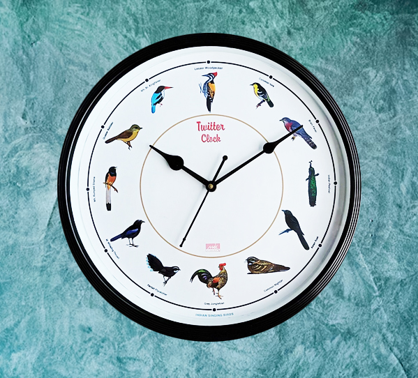 Indian Birds Tweeter Wall Clock